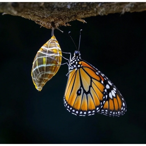 Fujifilm Instax MINI 41 Instant Film Camera / Fuji Instax Mini 41 Kamera Instan Garansi Resmi